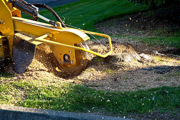 Artificial Turf Installation in Dover, OH